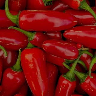 Ekstrakt z papryczki chili